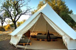 Shauri Glamping, Noto